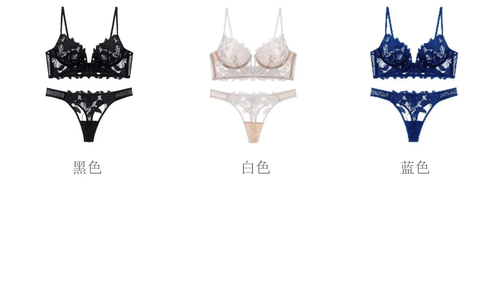 Women Lace Lingerie Set Elegant Sexy Bra Set See Through Underwear Ventilate Ladies Bra and Panty Set