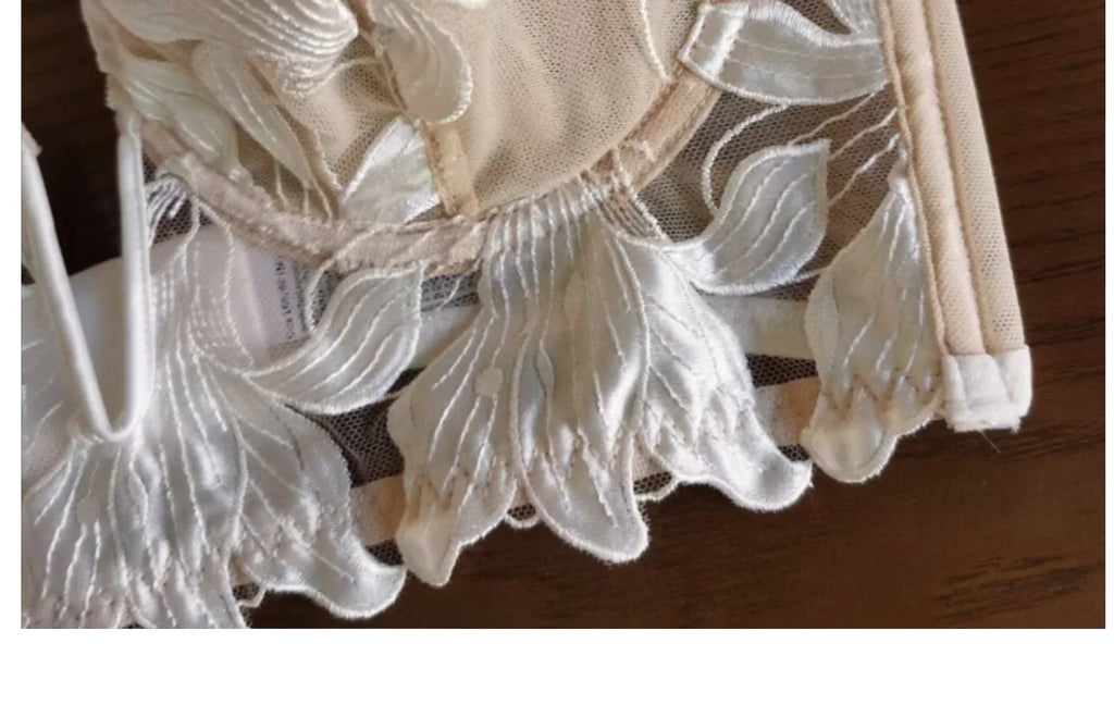 Women Lace Lingerie Set Elegant Sexy Bra Set See Through Underwear Ventilate Ladies Bra and Panty Set