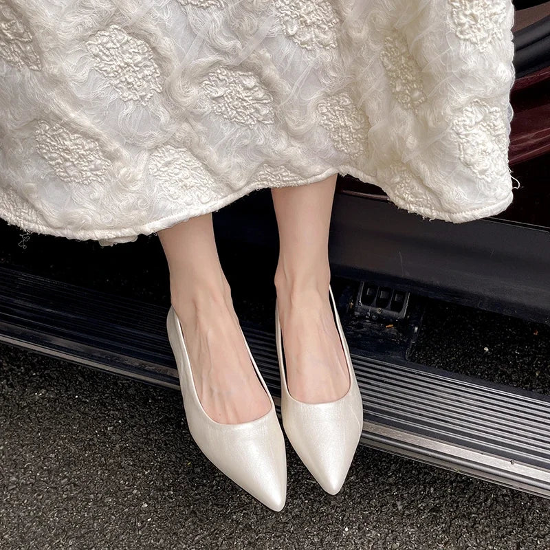 Fashionable low-heeled high-heel women's shoes, high heels, spring/summer new style, pointed-toe office commuting single shoes