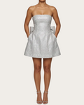 Brilliance Mini Dress