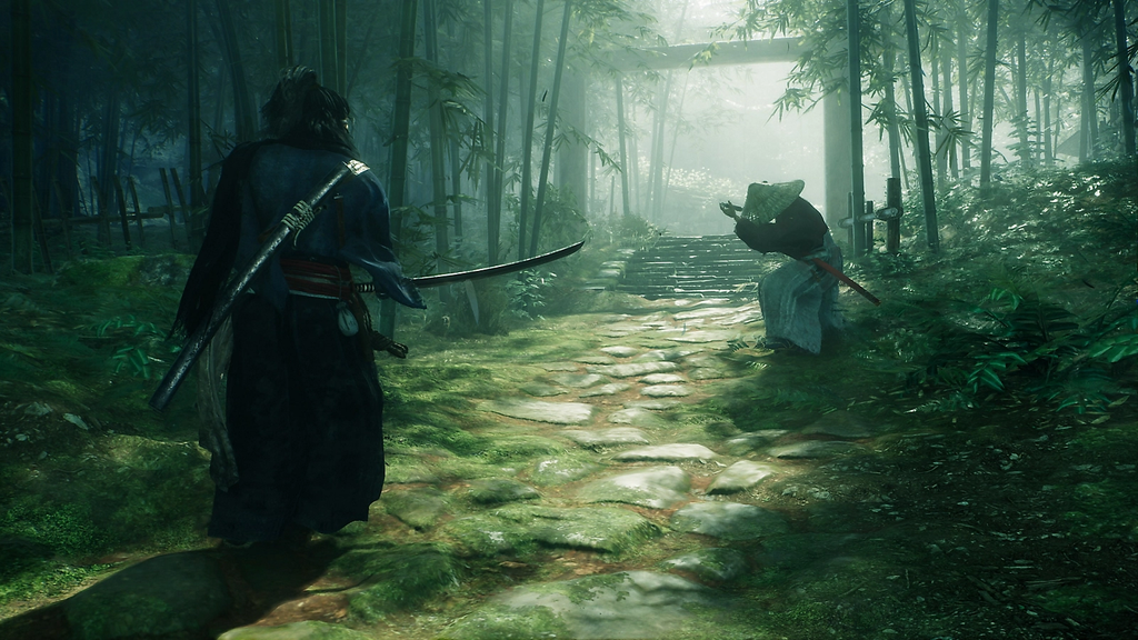 Rise of the Ronin - PC